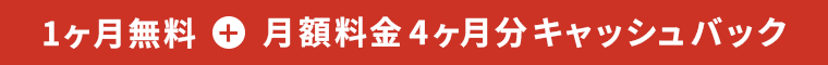 1ヶ月無料＋月額料金4ヶ月分キャッシュバック