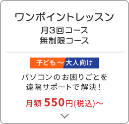 ワンポイントレッスン 月3回コース 無制限コース