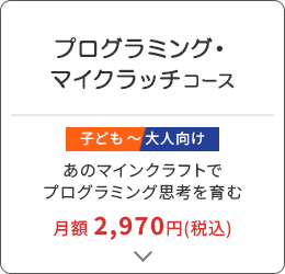プログラミング・マイクラッチ