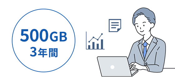 500GB 3年間