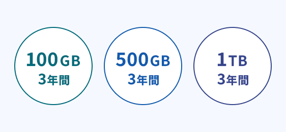 100GB・500GB・1TBの容量プラン